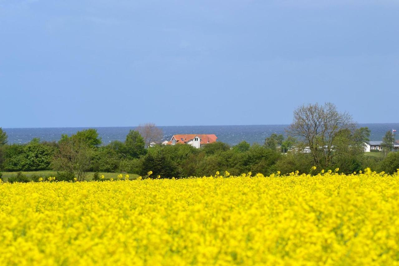 Steiner Strandappartements Appartement 210 Suedseite Mit Seitlichem Meerblick Stein  Kültér fotó